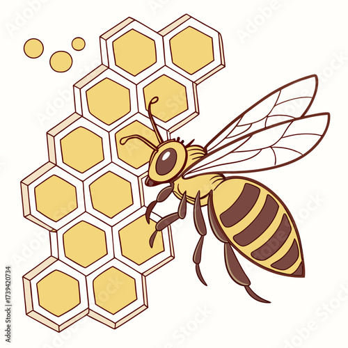 Cartoon bee with honeycomb and honey drops on white background Keywords: bee, honey, honeycomb, hexagon, insect, animal, nature, sweet, food, yellow, brown, outline, drawing, illustration, cute