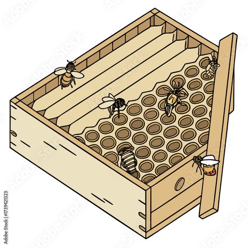 Isometric view of a wooden beehive box with bees and honeycomb insect apiary