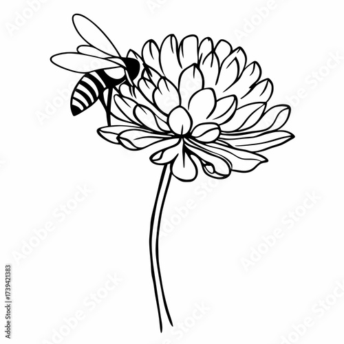 Line Art Drawing Of A Bee On A Flower With Petals insect stem