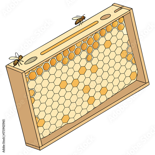 Wooden beehive frame filled with honeycomb and two bees insect apiary