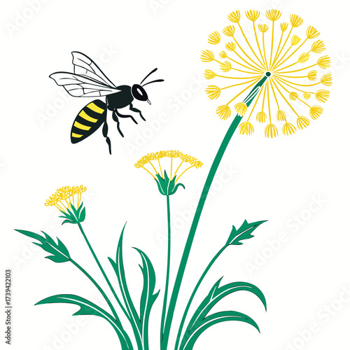 A bee flying towards a dandelion puffball with smaller dandelions and green leaves on a white background Keywords: bee, insect, animal, dandelion, flower, nature, wildlife, yellow, green, puffball