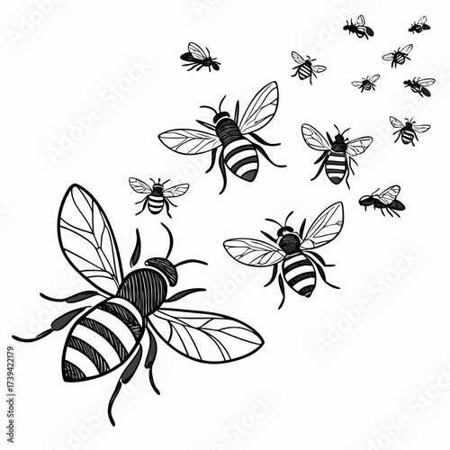 A swarm of black and white striped bees flying in different directions on a white background Keywords: bees, insects, swarm, flying, airborne, wings, striped, black and white, illustration