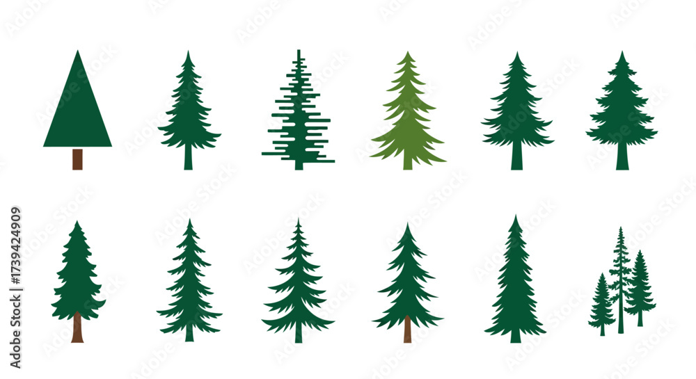 Obraz premium evergreen tree collection for festive designs or nature themed projects