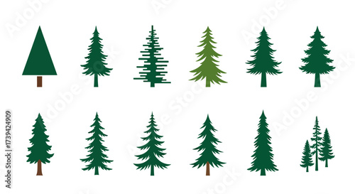 evergreen tree collection for festive designs or nature themed projects