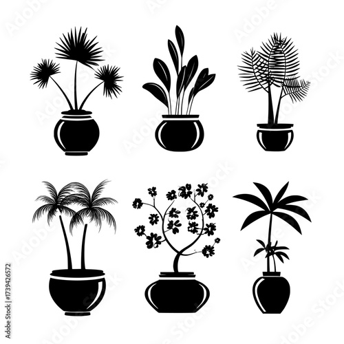 Isolated design elements in a cartoon modern illustration include a set of home potted plants and trees in flowerpots, domestic tropical decorative palms, and houseplants in ceramic pots, used for