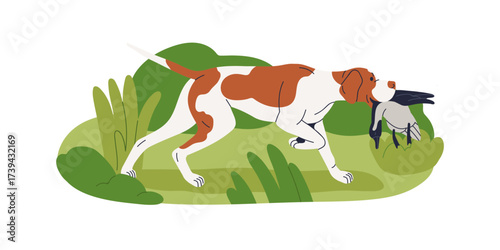 Hunting dog carrying wild bird prey in mouth. Trained hound breed retrieving duck, searching and catching fowl in wildlife. Canine animal hunter. Flat vector illustration isolated on white background.