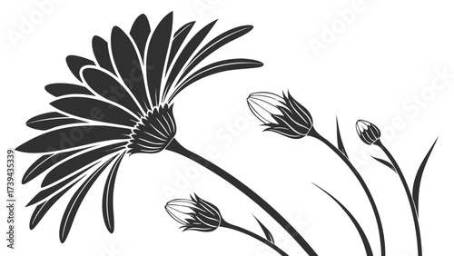 A black and white illustration of a gerbera daisy with buds on a white background in a simple style created with generated ai