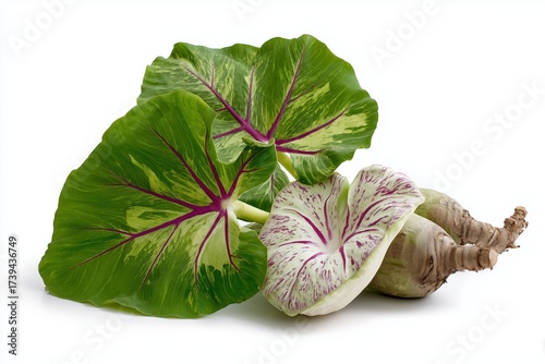 Taro on a white background