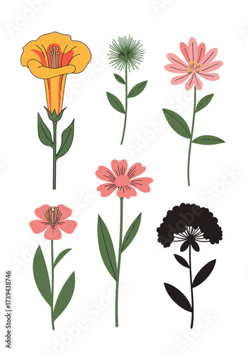 A collection of diverse and colorful wildflowers with delicate petals and slender stems gracing a white background.