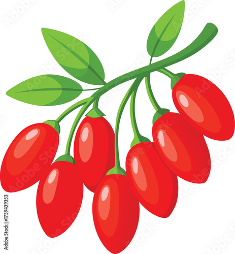 Fresh Goji Berries on Stem Vector Illustration - Healthy Superfood Fruit