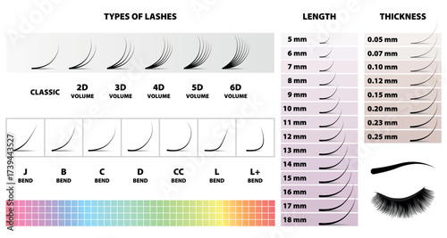 Types of eyelashes