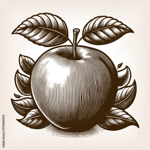 apple surrounded by detailed leaves, drawn in a traditional engraving technique sketch engraving generative ai fictional character vector illustration. Scratch board imitation. Black and white image.