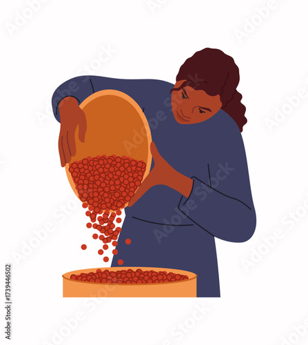 Farmer at plantation. Local farm. Woman with harvest basket. Gardener picking coffee seeds. Natural berry pot. Crop organic farming cultivation. Farming product. Arabica beans growing. Vector concept