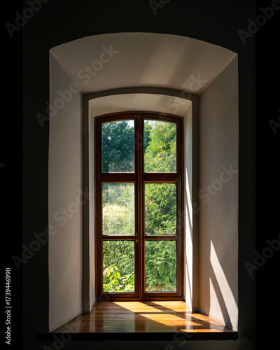 Wooden framed window with garden view and sunlight