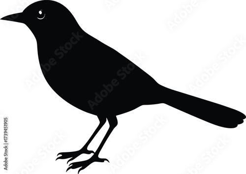 A black silhouette illustration of a crow with spread wings and a sharp beak isolated on a white background as a wildlife vector icon for nature design