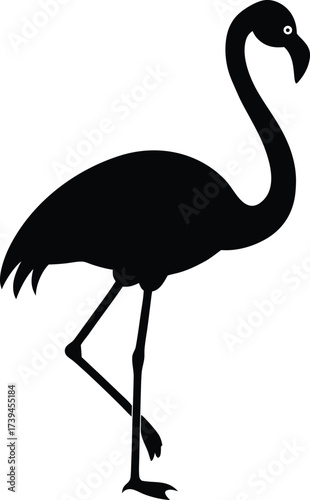 A pink wildlife flamingo silhouette isolated on white as a vector illustration featuring a cartoon bird with a long beak and feathers for nature and zoo art