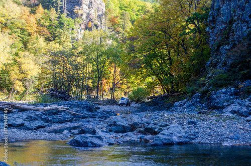 autumn in the forest