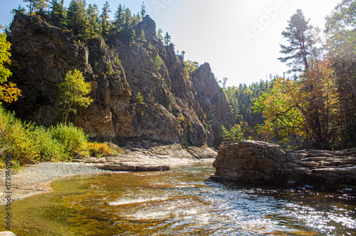 river in the forest