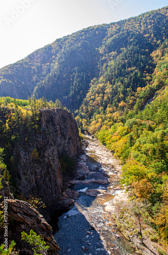 autumn in the mountains
