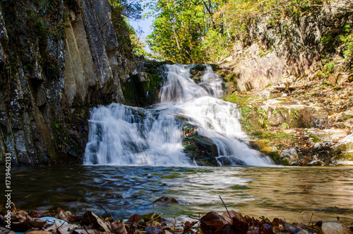 waterfall in the forest