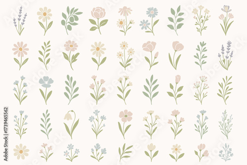 Pastel Botanical Flowers Collection — Minimal Elegant Floral Vector Set