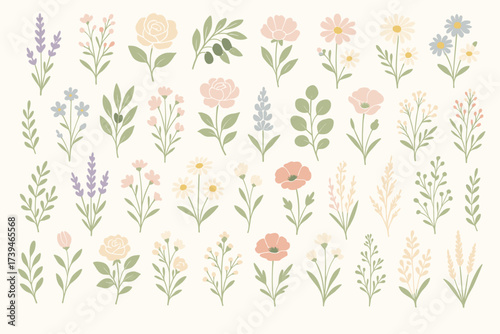 Pastel Botanical Flowers Collection — Minimal Elegant Floral Vector Set