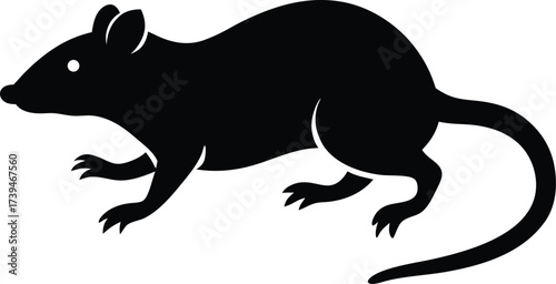 A vector illustration of a black kangaroo silhouette of a wild animal isolated