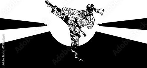 Dynamic martial artist striking pose with dramatic lighting, conveying strength and skill, perfect for fitness, self-defense, or sports-related content