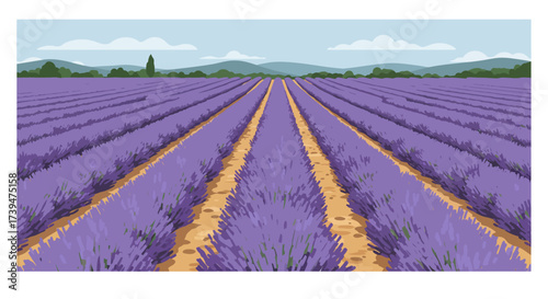 A vast lavender field stretches towards mountains under a cloudy sky