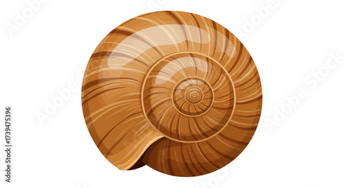 Brown glossy spiral shell with darker swirling lines creating a mesmerizing circular pattern