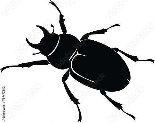 An isolated macro closeup of a black stag beetle and a Colorado potato beetle on a white background