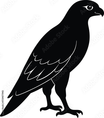 Black raven silhouette vector illustration: bird of prey eagle drawing on a white background