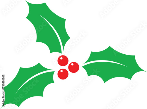 Holly berry icon Christmas mistletoe graphic design template Xmas symbol