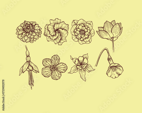 Hand Drawn Vintage Flower Collection on Pastel Background