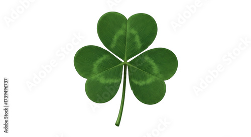 Fotografía Isolated shamrock clover leaf, lucky symbol, nature greenery, happy Saint Patric