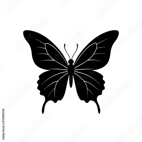 Silhouette of a butterfly with open wings on transparent background