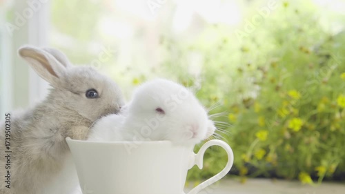 Playful Bunnies in White Cup Surrounded by Greenery Cute Animals Bringing Joy and Warmth to Natures Delightful Scene
