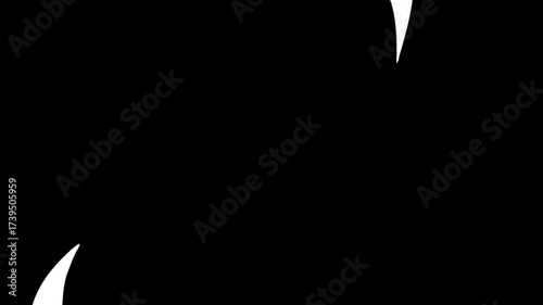 Abstract black and white shapes creating dynamic visual effects.