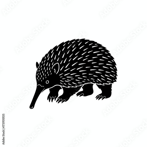 Echidna Silhouette: A striking black and white silhouette of an echidna, showcasing its unique features and capturing the essence of this remarkable creature.