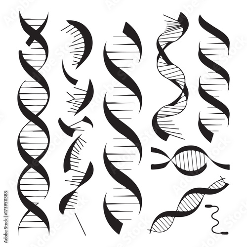 DNA helix vector collection illustration for science, genetics and molecular biology design