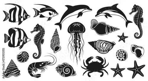 Vector illustration of collection of black and white illustrations of marine life including fish, dolphins, seahorses, jellyfish, crabs, shrimp, and seashells