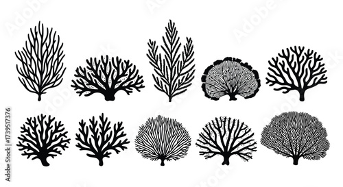 Vector illustration of assortment of stylized tree silhouettes in black and white, showcasing various shapes and textures