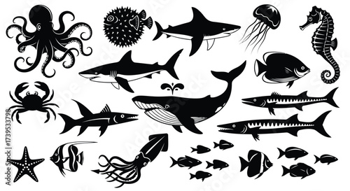 Vector illustration of set of black and white silhouette illustrations of various marine sea creatures