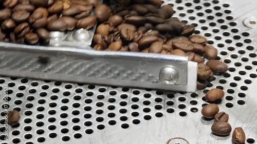 Sorting roasted coffee beans on a stainless steel screen at a coffee roasting facility