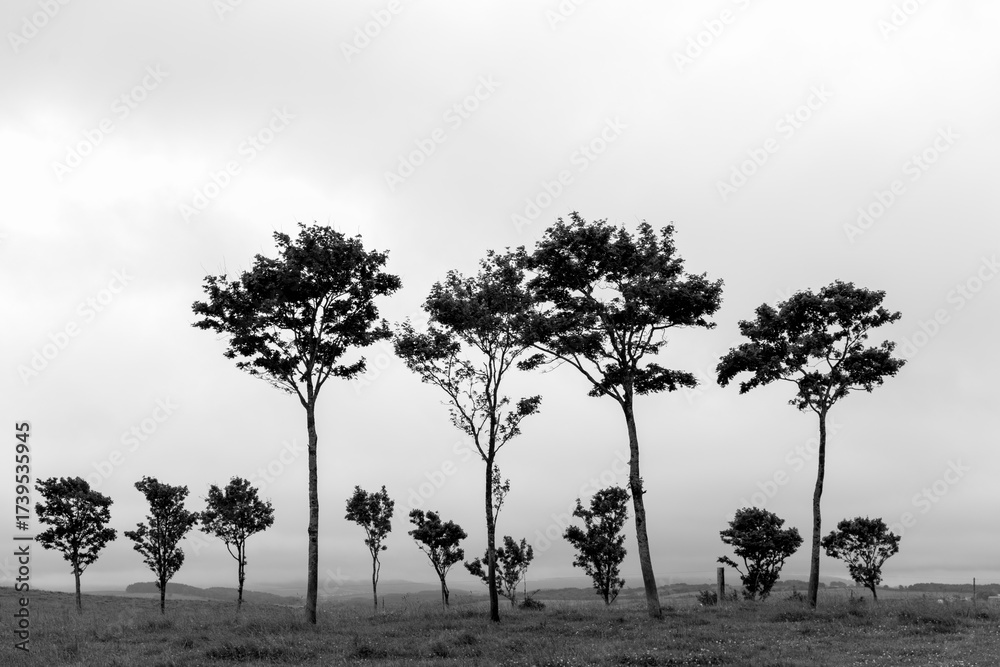 Fototapeta premium Farms and forests smoke in the morning