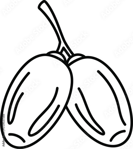 Line art illustration of two dates on a stem, simple and clean.