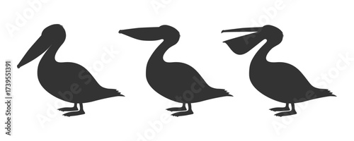 Pelican graphic icons set. Pelican signs isolated on white background. Vector illustration