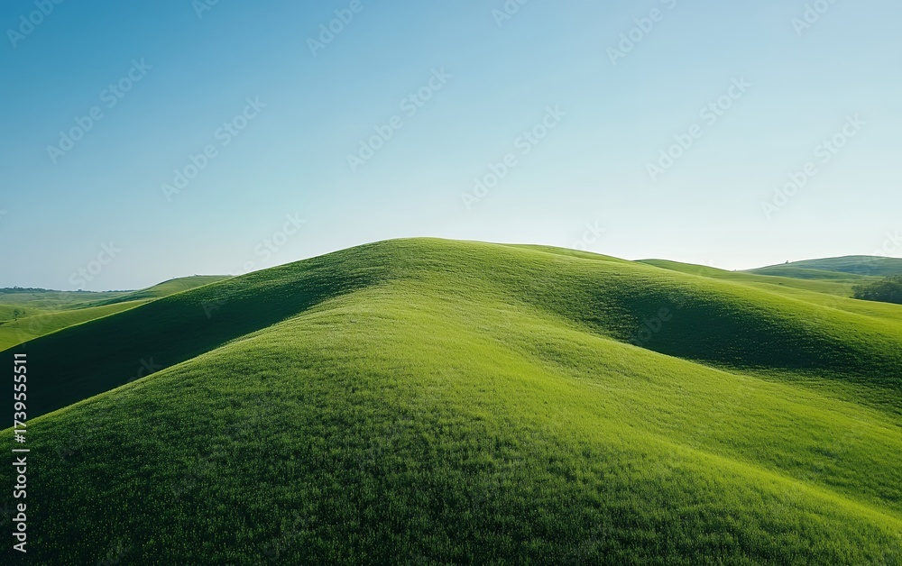 Fototapeta premium Lush green rolling hills with smooth contours under a pristine blue sky, showcasing the beauty of unspoiled nature and pastoral landscapes