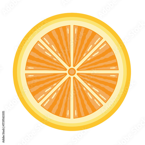 Fresh Lemon or orange slice cross section vector illustration. Hand drawn yellow citrus fruit slice