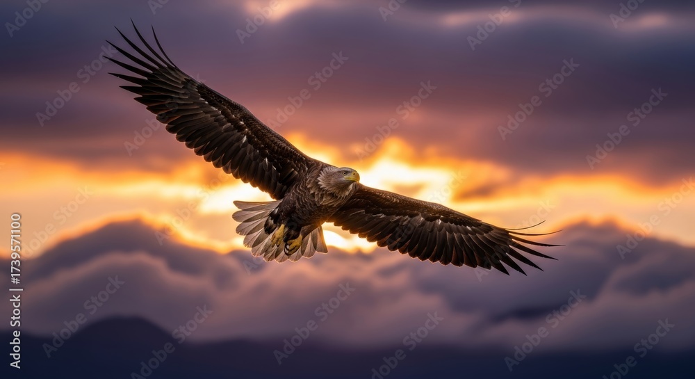 Fototapeta premium Majestic Eagle Soaring Against a Dramatic Sunset Sky, its Wings Spread Wide